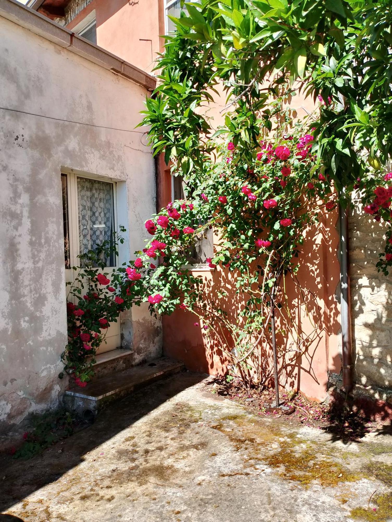 La Corte Degli Aranci Senorbi Buitenkant foto